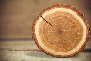 Bề mặt khúc gỗ tự nhiên