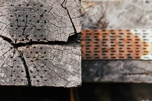 Gỗ tự nhiên bị trương nở
